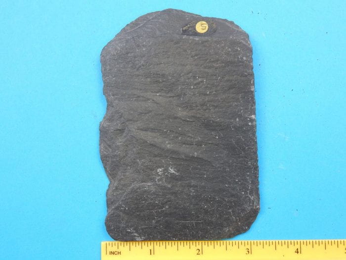 A three-inch-flat slab of Black Slate