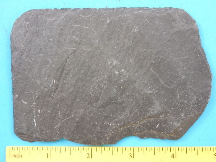 A five-inch-long flat slab of Black Slate