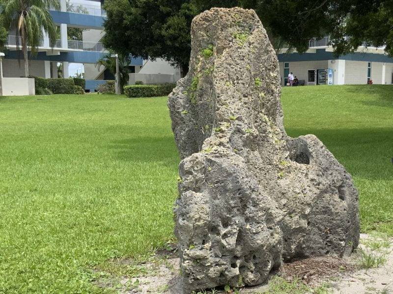 A fragment of the Biscayne Aquifer located on Broward College's North Campus. Demonstrating limestone formation with the aquifer, it is a perfect example of the touching-vug porosity that facilitates much of the ground water flow in this unconfined aquifer located in south Florida.