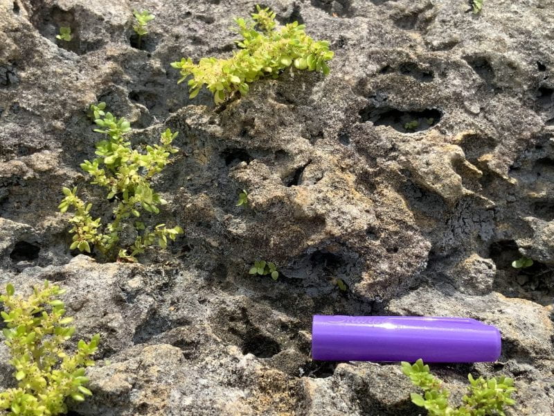 Close-up of Limestone Formation within the Biscayne Aquifer (with marker cap for scale)